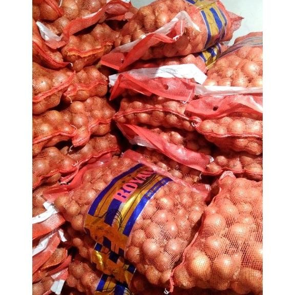 

Bawang Bombay Besar Segar 6080 Karungan 20kg