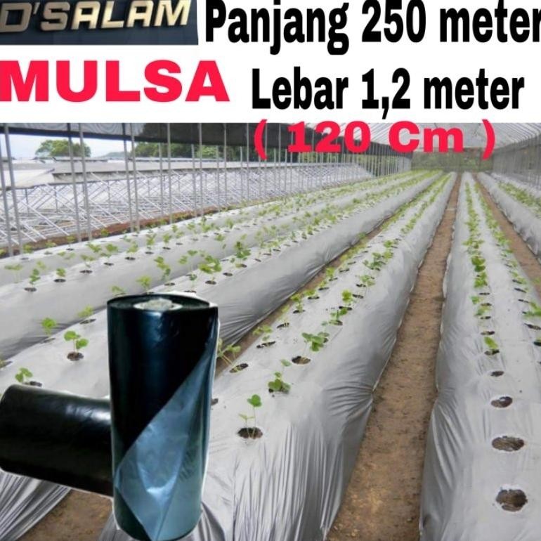 Plastik MULSA ( 1 Roll ) Panjang 250 Meter * Lebar 120Cm (1,2Meter)