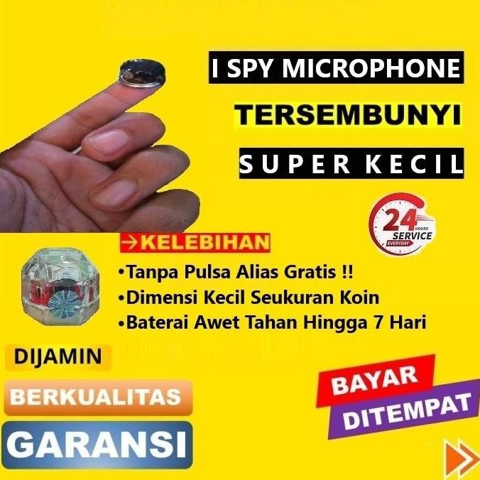 Alat Perekam Suara / Mini / Tersembunyi Co