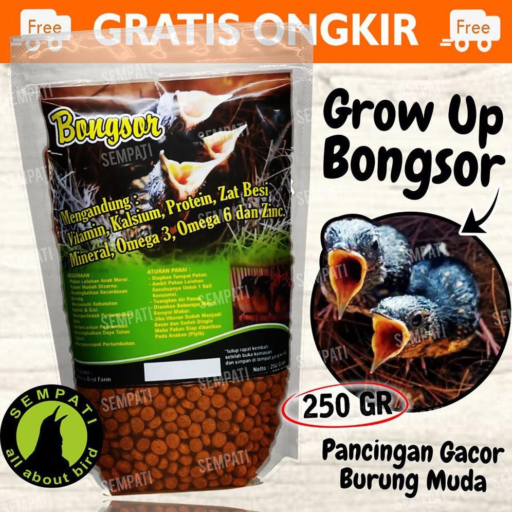 SEMPATI PAKAN LOLOHAN BONGSOR PAKAN LOLOHAN TROTOL MURAI BATU VOER LOLOH PIYIK BURUNG CINDIL MURAI B