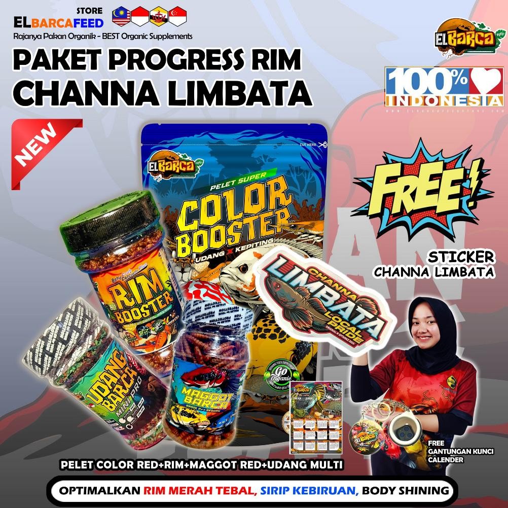 PAKET PAKAN PELET CHANNA LIMBATA Optimalkan Rim Merah Tebal, Sirip fin Kebiruan+Free Sticker Channa 