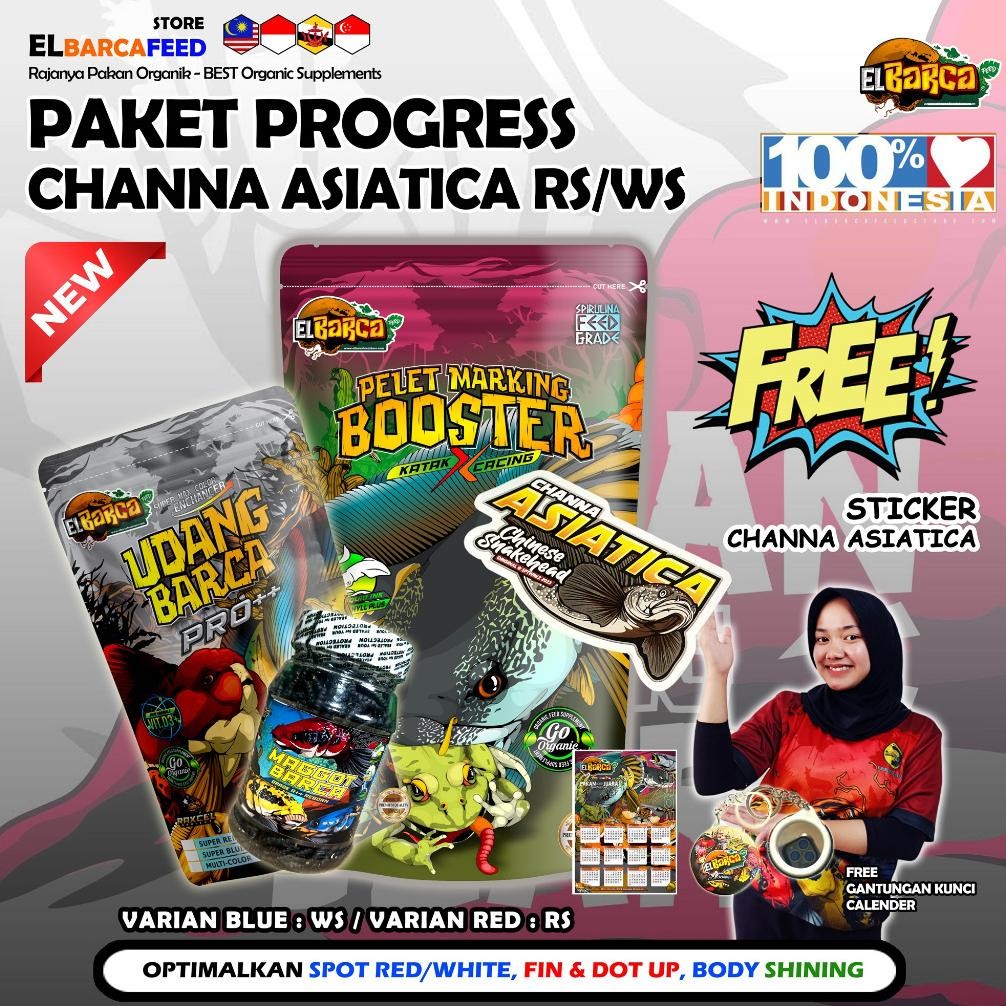 PAKET PAKAN CHANNA ASIATICA RS dan WS (Body Mutiara Shining, Full Dot) Free Sticker Channa AST