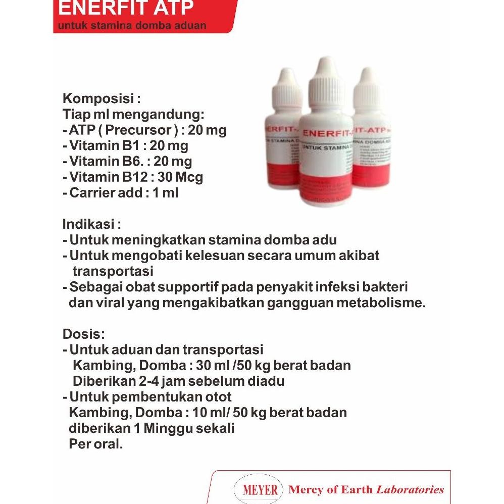 Enerfit ATP Oral Meyer 30 mL - Obat Stamina Domba Adu AST