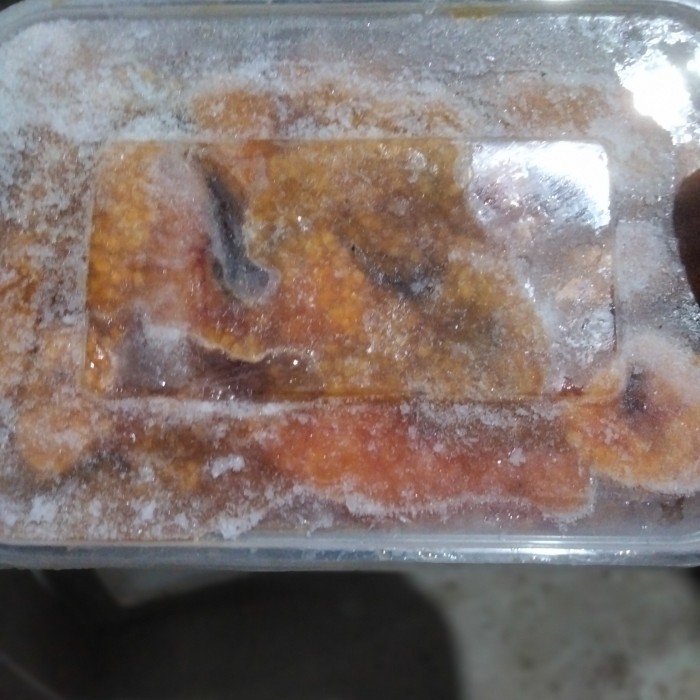 TERLARIS Telur sapu2 (TS) Perut