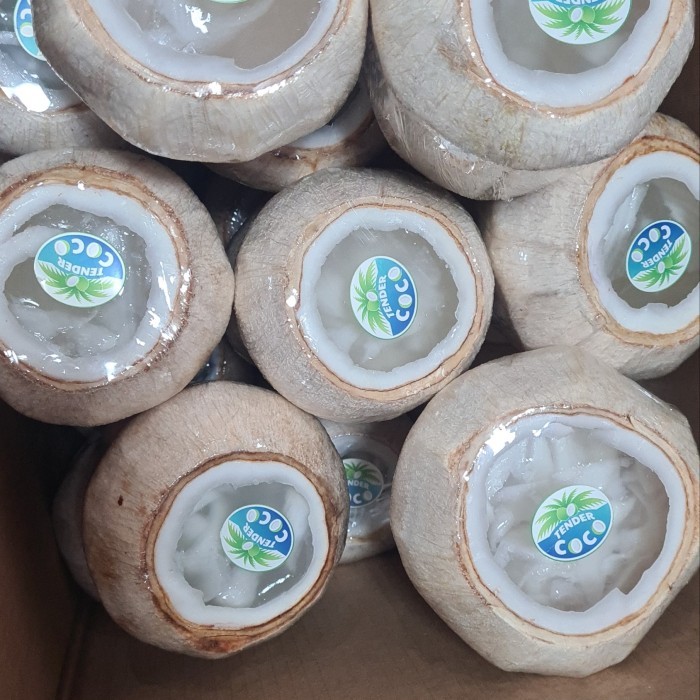 

5 Puding Kelapa Ala Thai Best Quality