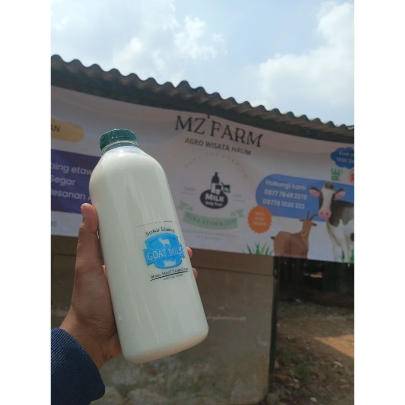 

Uu Teril Ambing Etawa Murni Pateuriai 1Liter