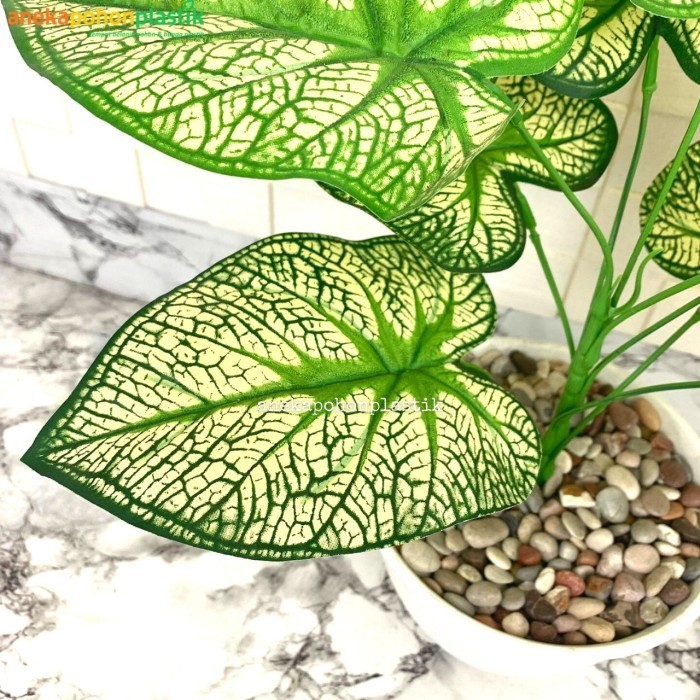 POHON SRI REJEKI HIJAU ARTIFICIAL PLASTIK LATE/POHON SRI REJEKI MURAH