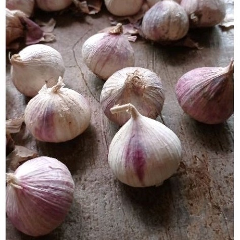 

TERLARIS BAWANG PUTIH TUNGGAL 500 GRAM - BAWANG LANANG 500 GRAM - LANGSUNG DARI GUDANG KUALITAS