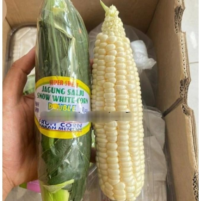

Jagung Putih Alju Corn Dimaan Mentah Mani Pc