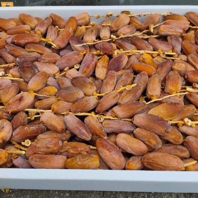 

Kurma Tunisia Tangkai 1Dus ( 5Kg ) Shop_Fernan