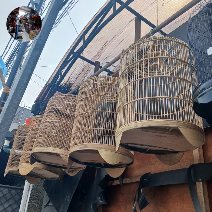 Sangkar murai mentah kandang murai mentah slorok no 2