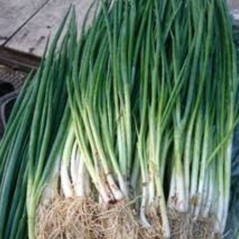 

Ready Daun Bawang 250Gr Best Seller