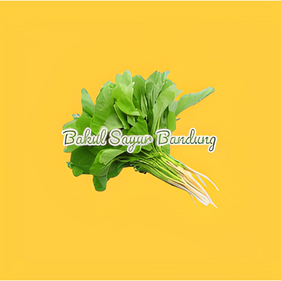 

Sayur bayam / 2 ikat - Bakul Sayur Bandung