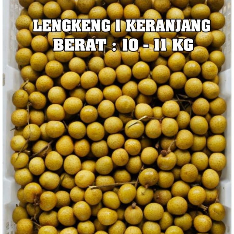 buah lengkeng 1 keranjang klengkeng bangkok GOLD 1 kranjang 11 KG fresh
