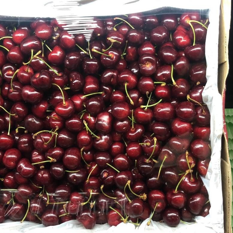 Buah Ceri | Cherry Import Australia Segar 1 kg