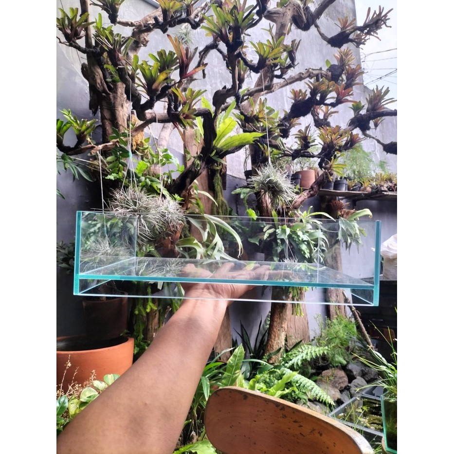 BERGARANSI A100 SHALLOW GLASS 300 TERRARIUM VIVARIUM PALUDARIUM TANK AQUARIUM