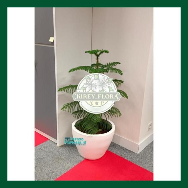 Pot Gerabah Keramik Putih Glossy