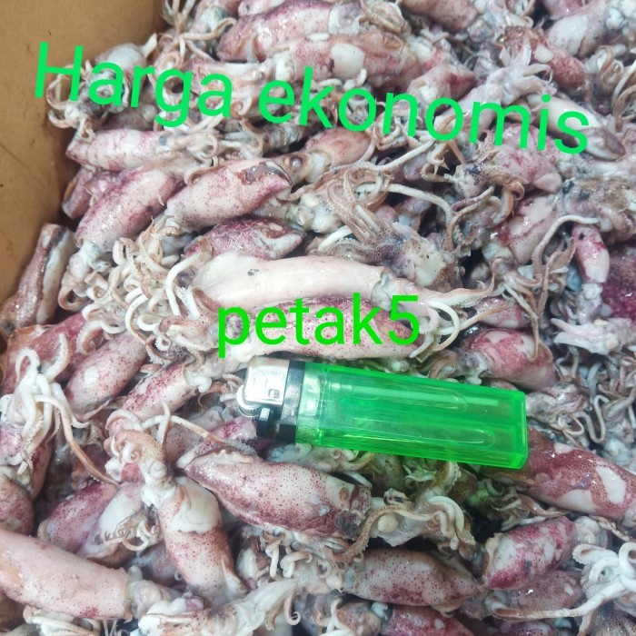 

Cumi Asin Grosir 10Kg Sedang