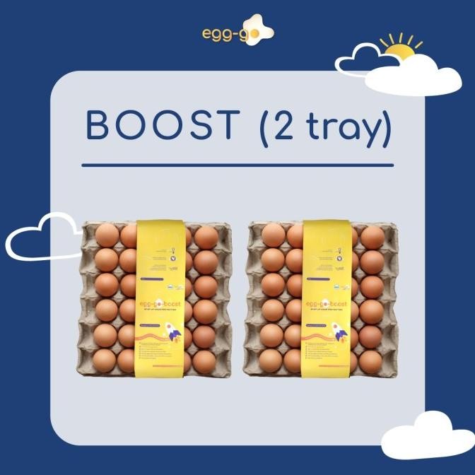 

Grosir Egg-Go 2 In 1 Tray (Boost & Maxi)