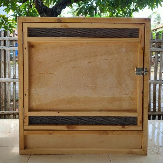 kandang box ayam Bangkok siap adu