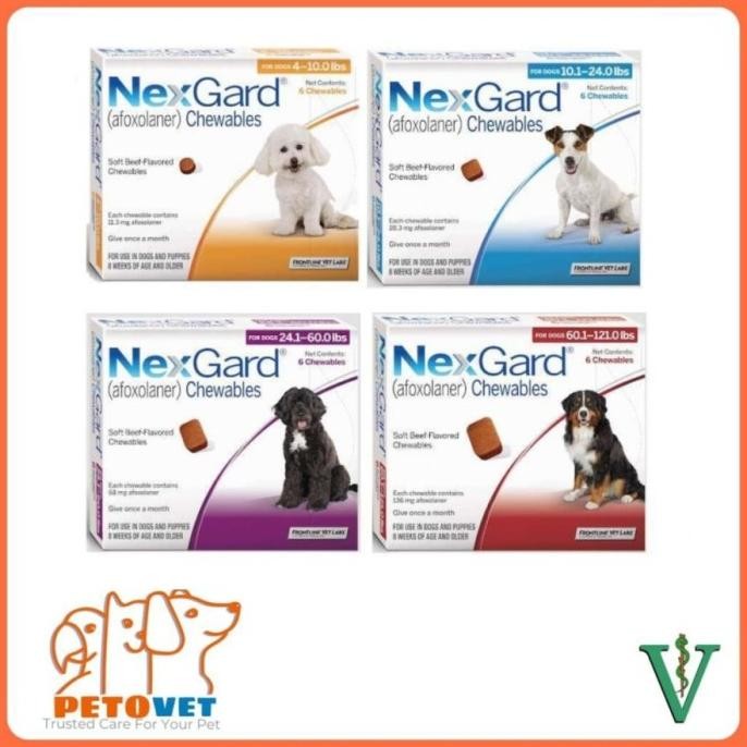 NEXGARD Obat kutu untuk anjing