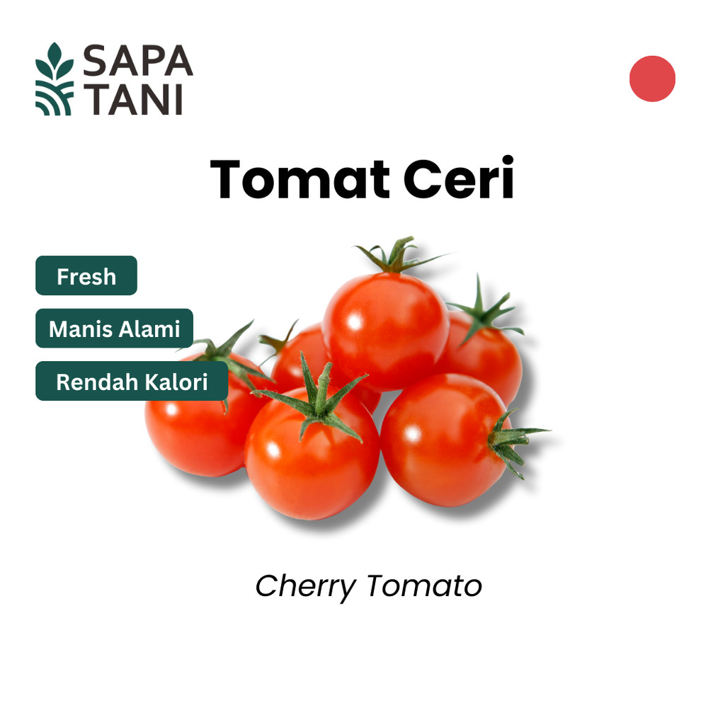

Tomat Ceri 250 gr Sapatani