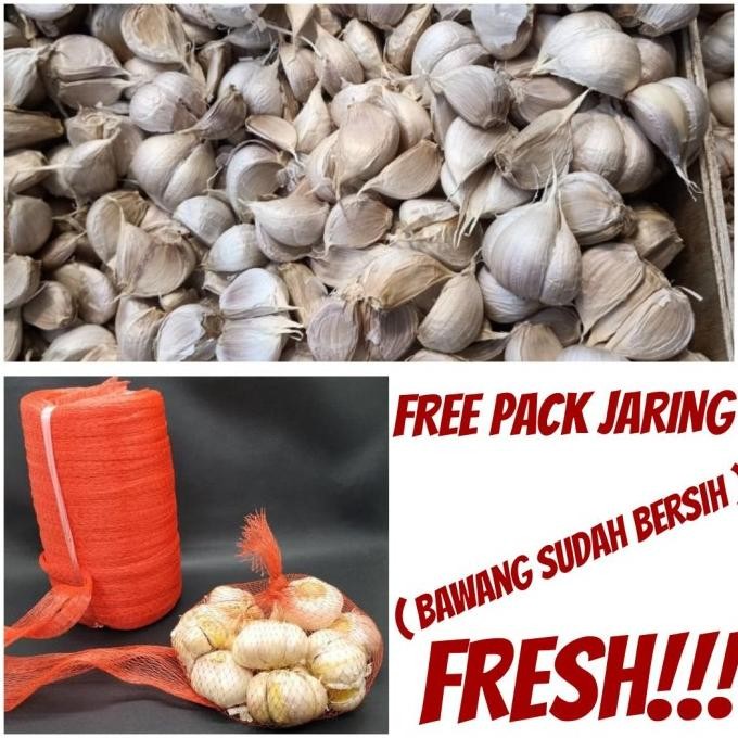 

BAWANG PUTIH KATING 1KG IMPORT KUALITAS SUPER ORIGINAL