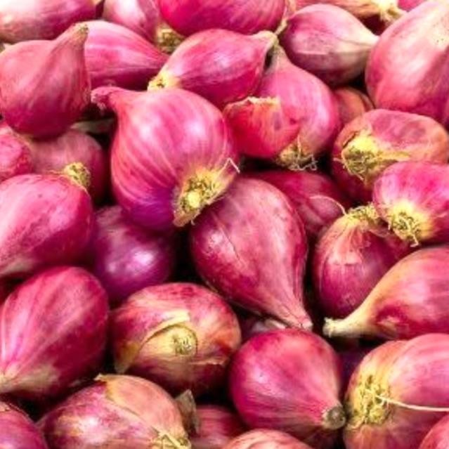 

BAWANG MERAH/SUPER PILIHAN ORIGINAL