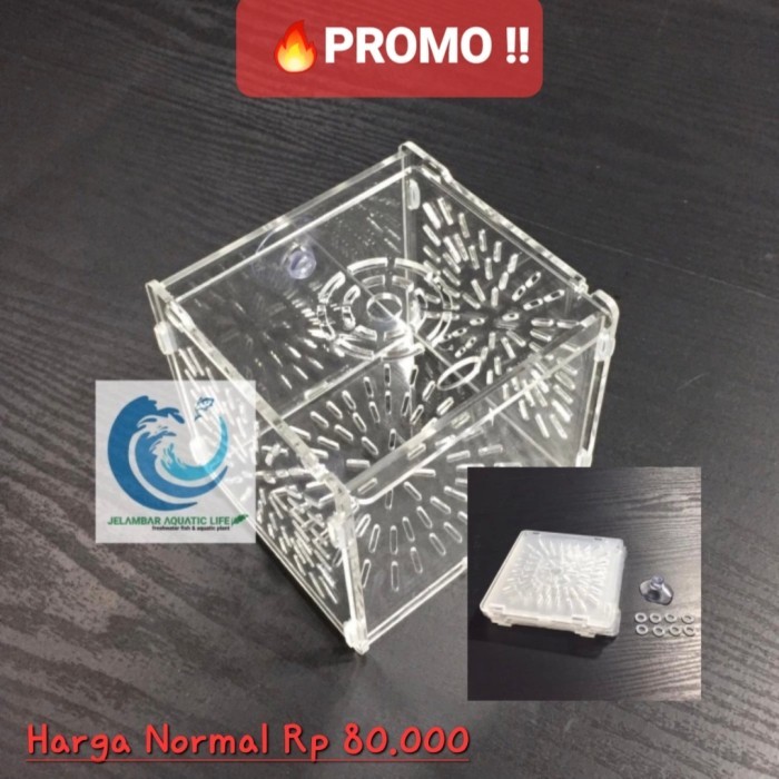 GRATIS ONGKIR Box Karantina / Aklimasi Ikan dan Udang Hias Acrylic untuk Akuarium