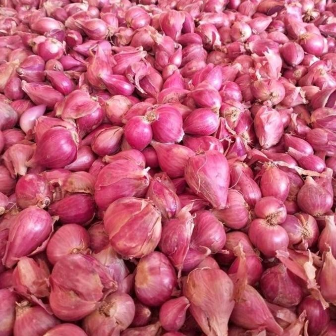 

BAWANG BREBES MURAH 1KG ORIGINAL