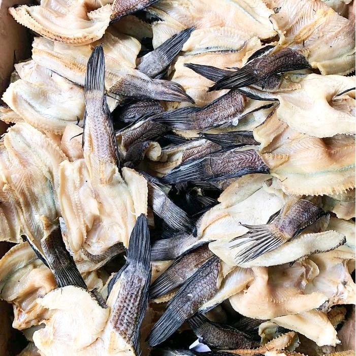 

ikan asin gabus super murah 1 kg Kering Food