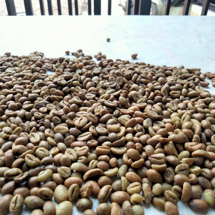 

Kopi Robusta Pagar Alam 1 Kg (Green Bean)