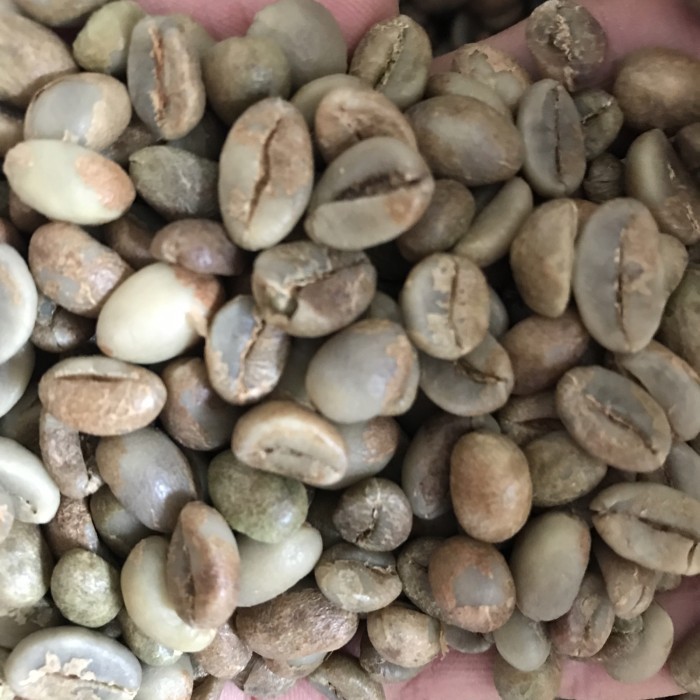 

Green Bean Robusta Temanggung G1
