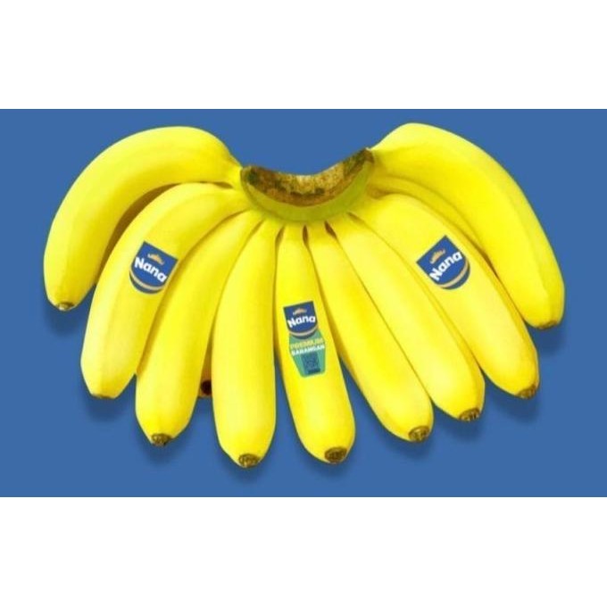 

Pisang Nana Barangan Banana Asli Lampung Indonesia Premium Sisir the best