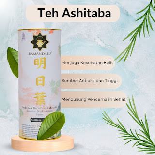 

Teh Ashitaba dengan Antioksidan Tinggi - Cegah Penuaan Dini
