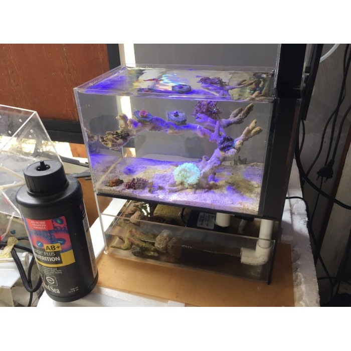 Pico Marine Aquarium Tank Kit Incluede Protein Skimmer - 3 ltr +-