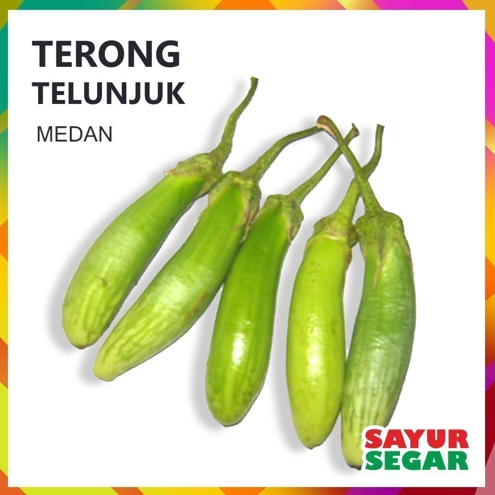 

Terong Telunjuk / Terong Medan [250G]
