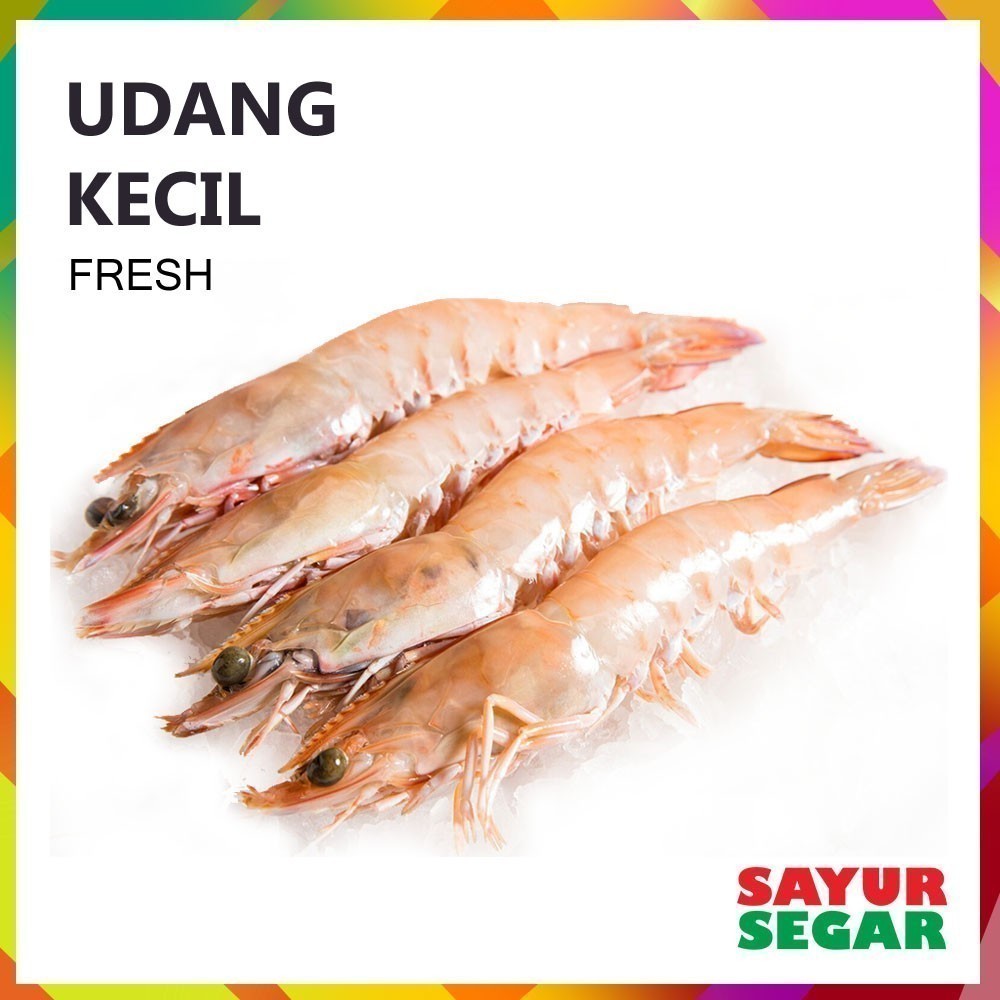 

Udang Fresh Uk. Kecil [250G]