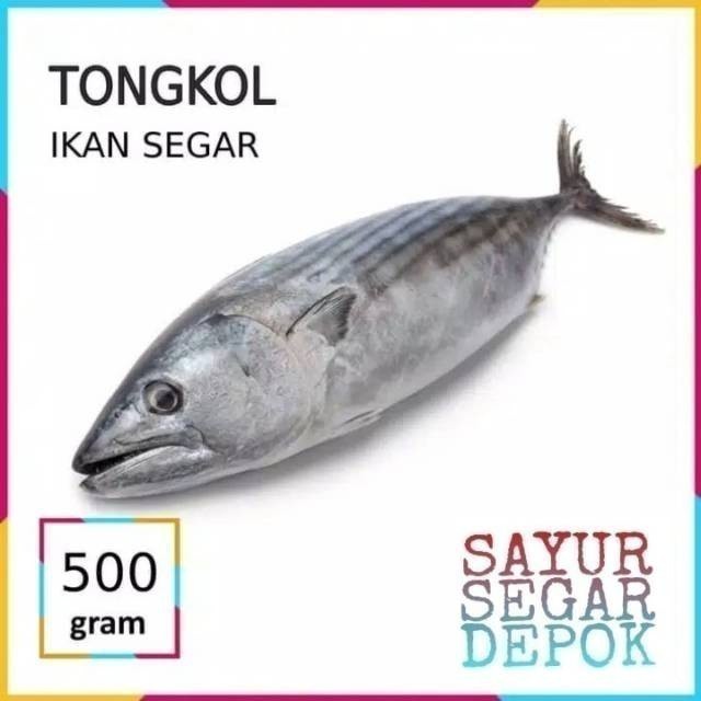 

Ikan tongkol basah 500 gram / sayur segar depok