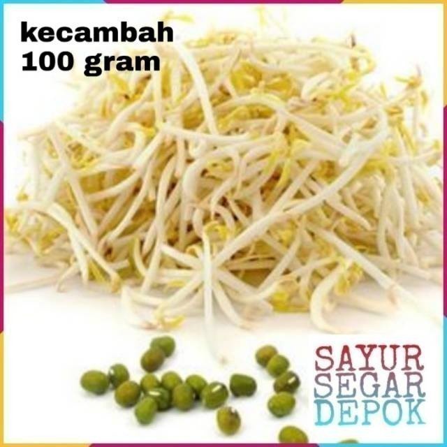 

KECAMBAH TOGE