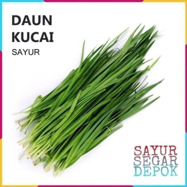 

DAUN KUCAI / SAYUR SEGAR JAKARTA
