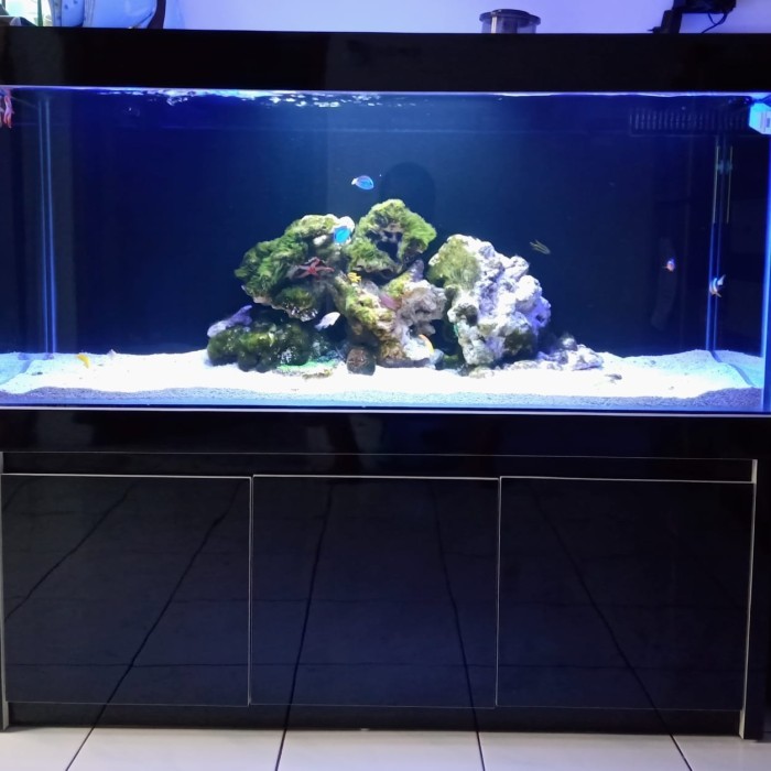 aquarium Laut 120*60*50 Filter blakang 1 set kabinet