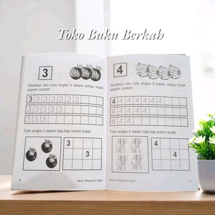 

Paket 2 Buku Mulai Mengenal Angka Dan Abjad 32 Halaman (1624Cm)