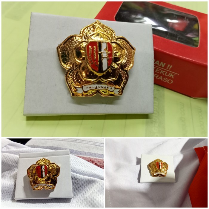 

HOT SALE! pin lemhanas