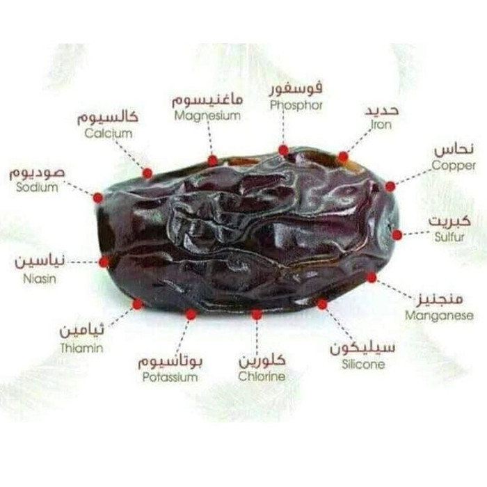 

Kurma Ajwa Al Madina Kurma Nabi 1Kg