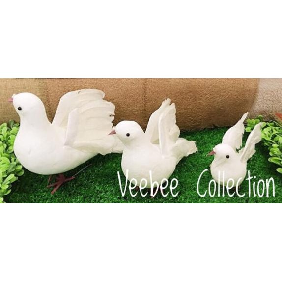 ] Merpati Besar /burung hias/burung foam/burung gabus/burung merpati