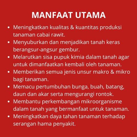 By05 Pupuk Cabe Rawit Agar Berbuah Lebat / Pupuk Cabe Anti Rontok Keriting / Pupuk Cabe Berbuah Leba