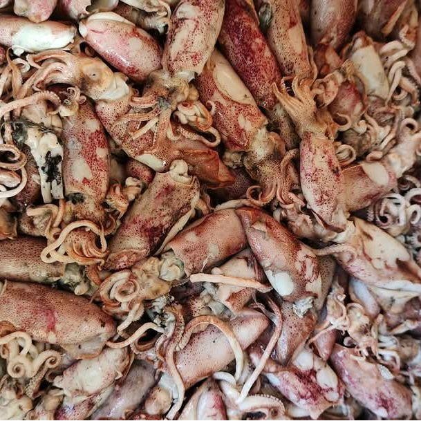 

Promo IKAN ASIN CUMI JARUM MURAH 1 KILO Food Ready