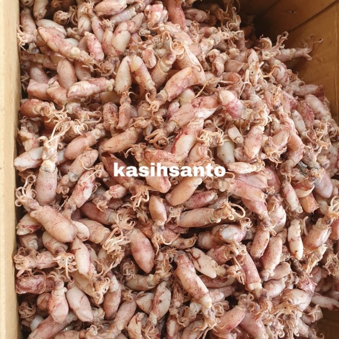 

IKAN ASIN BEBY CUMI-1KG