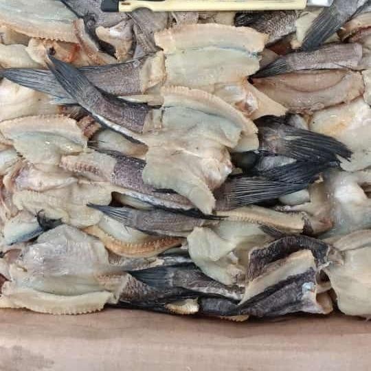 

GABUS ASIN VAKUM 250-500 GRAM